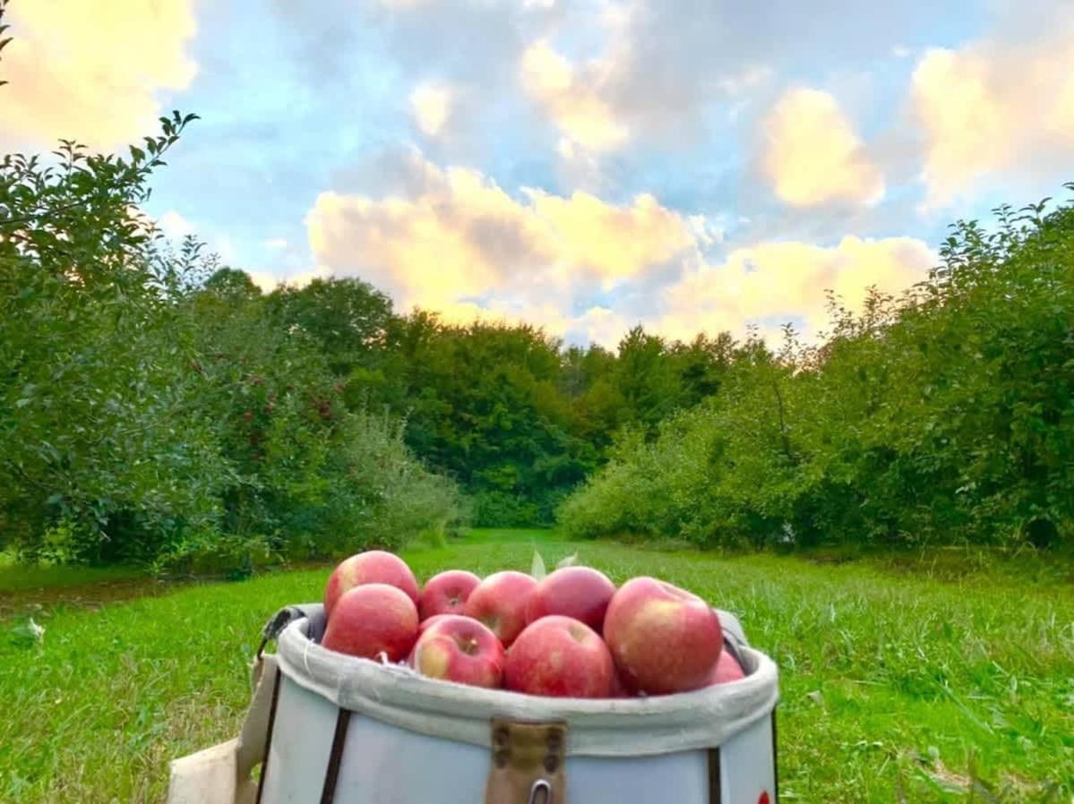 The Cortland Cottage At Brant'S Apple Orchard Ashtabula Exterior foto